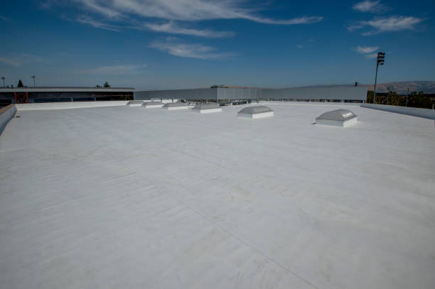 Best Roof Maintenance and Cleaning  in Green Forest, AR