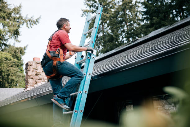 Best Wood Shake Roofing  in Green Forest, AR