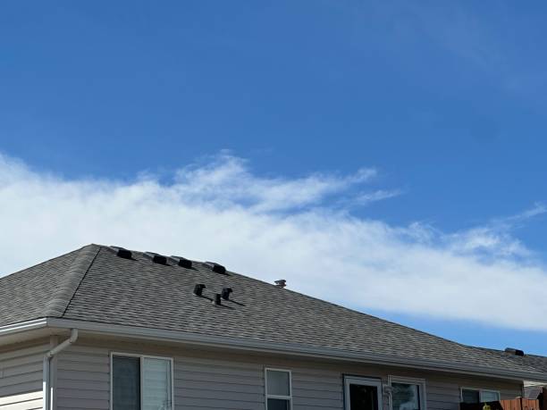 Best Skylight Installation and Repair  in Green Forest, AR